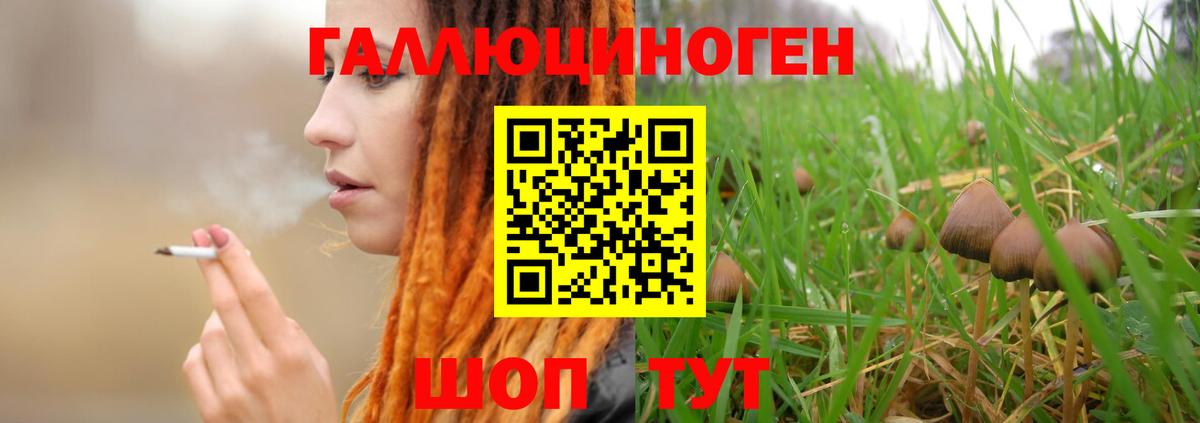 Рассказово  Псилоцибиновые грибы GOLDEN TEACHER  Галлюциногенные грибы прущие грибы  Вход с VPN 